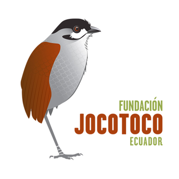 Jocotoco