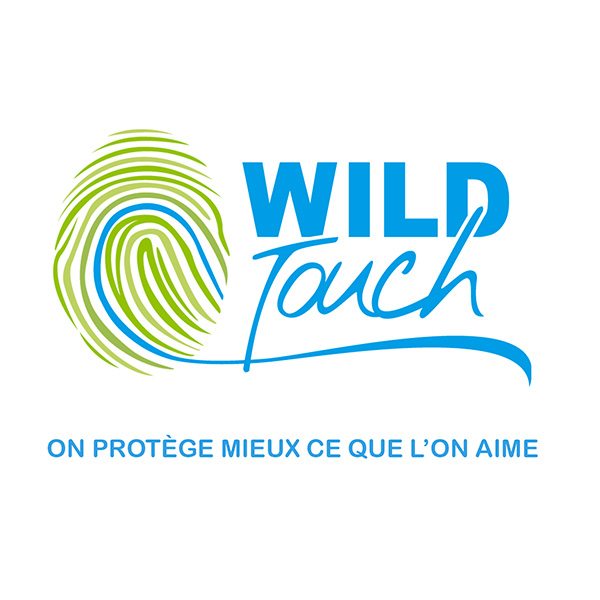 Wild Touch - IceBreaker